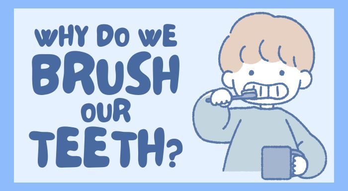 Why Do We Brush Our Teeth